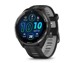 GARMIN Pametni sat Forerunner 965, 3.56 cm (1.4"), AMOLED, 47 mm, Digitalni zaslon 454 x 454 px, Touchscreen, crni, Wi-Fi, GPS